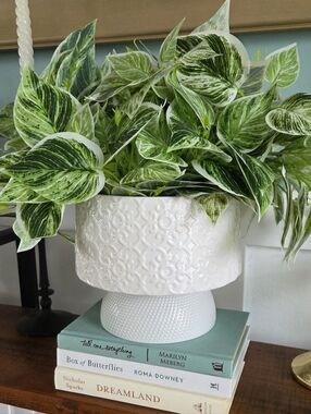 White Ceramic Planter with Textured Pattern and Green Variegated Foliage